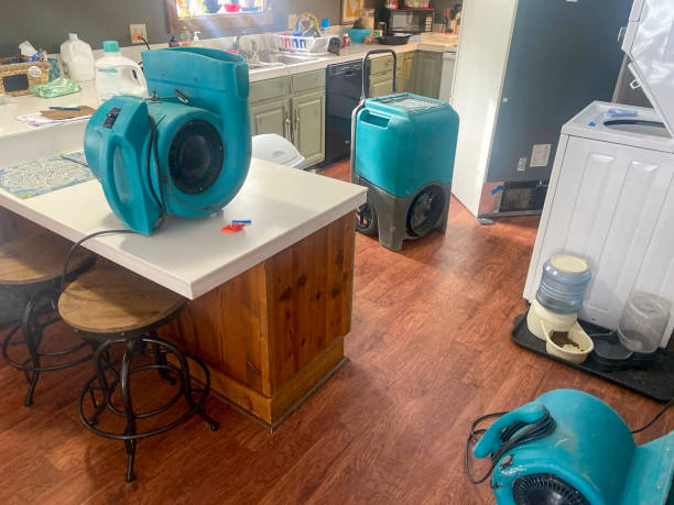 Best Sewage cleanup and water damage restoration  in Becker, MN