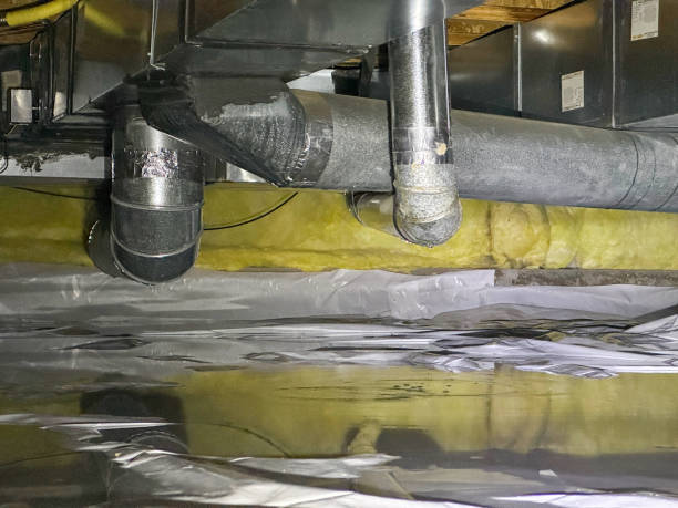 Best Carpet water damage restoration  in Becker, MN